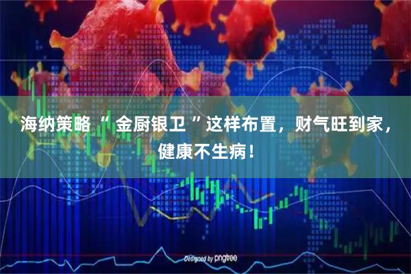 海纳策略 “ 金厨银卫 ”这样布置，财气旺到家，健康不生病！