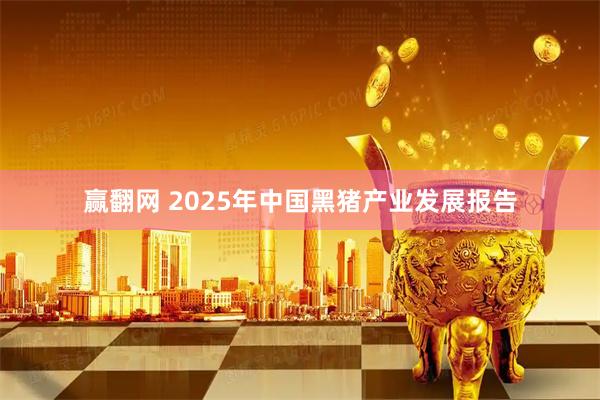 赢翻网 2025年中国黑猪产业发展报告