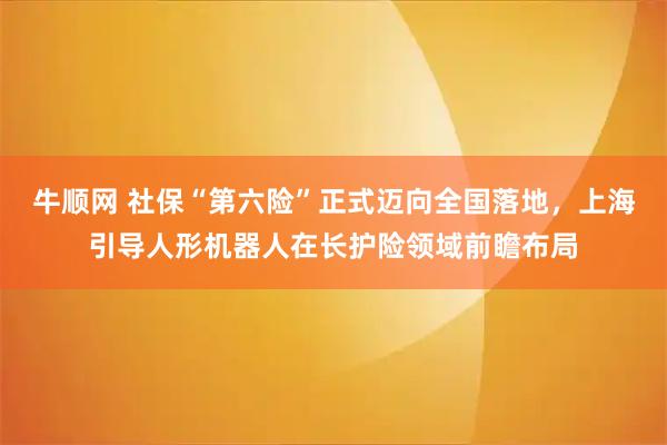 牛顺网 社保“第六险”正式迈向全国落地，上海引导人形机器人在长护险领域前瞻布局
