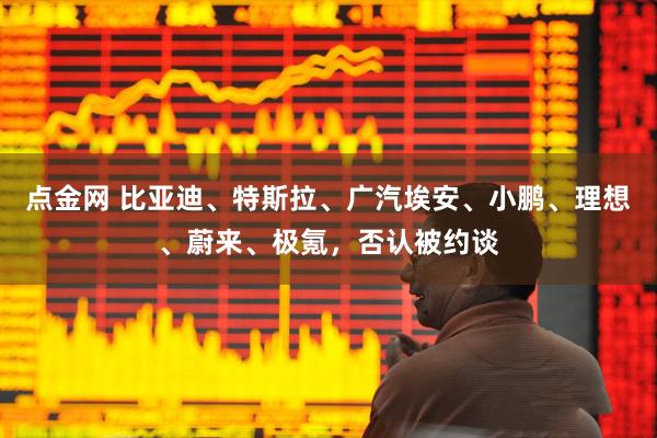 点金网 比亚迪、特斯拉、广汽埃安、小鹏、理想、蔚来、极氪，否认被约谈