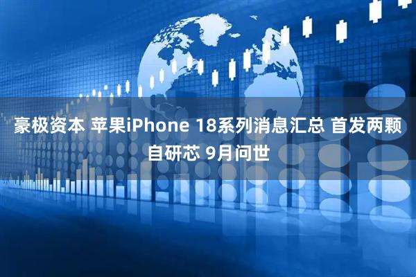 豪极资本 苹果iPhone 18系列消息汇总 首发两颗自研芯 9月问世