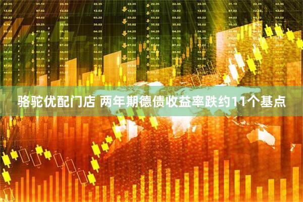 骆驼优配门店 两年期德债收益率跌约11个基点